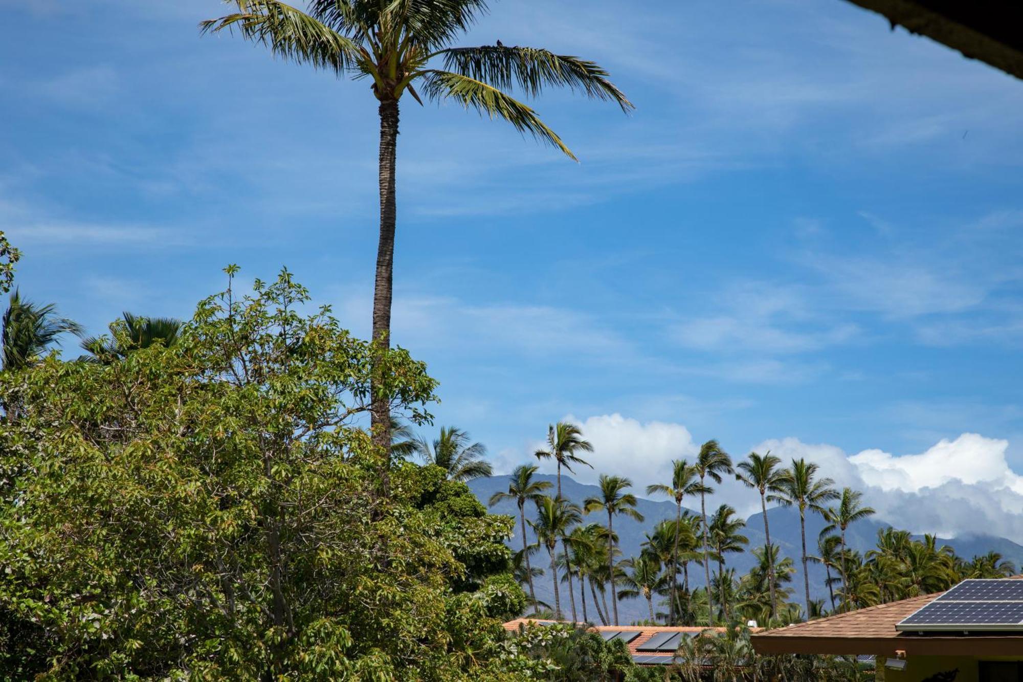 Appartement Beautiful 2br 2ba With Panoramic Ocean Views, Wifi, Free Parking! Kihei