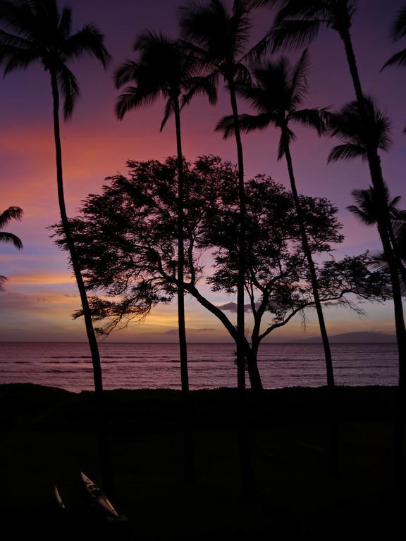 Beautiful 2br 2ba With Panoramic Ocean Views, Wifi, Free Parking! Appartement *